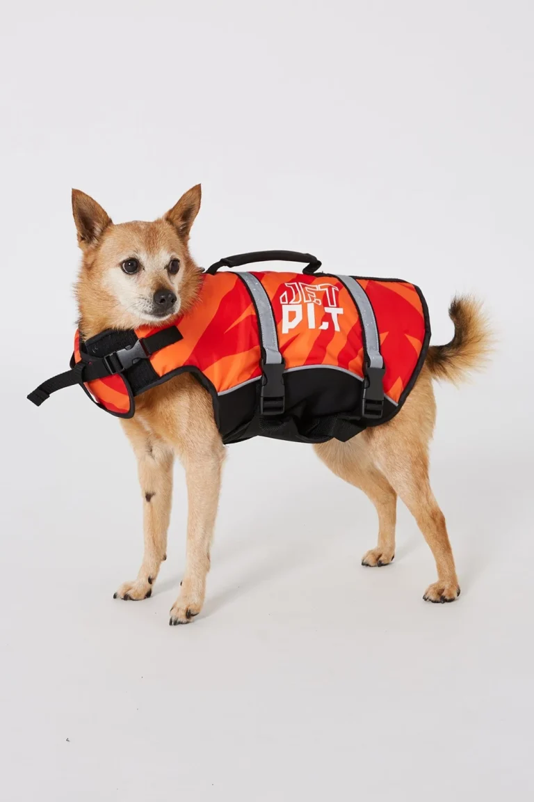 Jetpilot Dog Life Jacket - Red